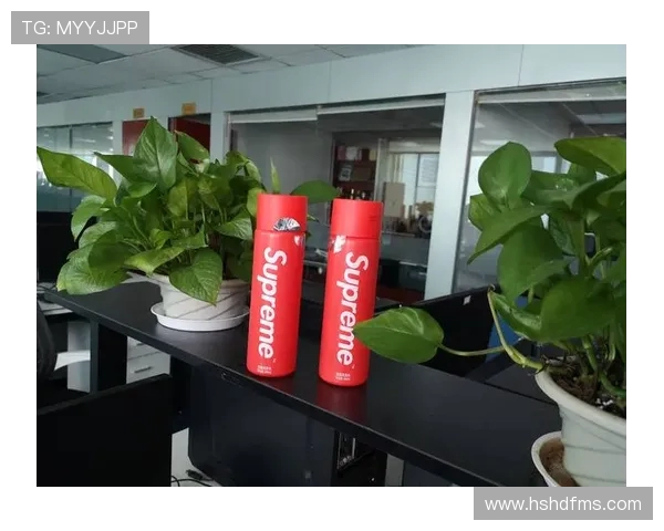 运动员个人品牌延伸产品竞争力